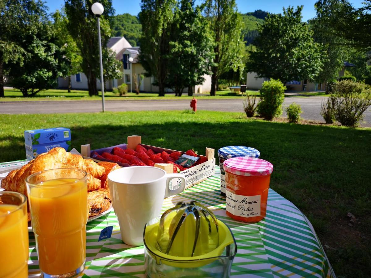 La Maison Bleue, Village Vacances, Piscine, Parking Saint-Geniez-dʼOlt エクステリア 写真