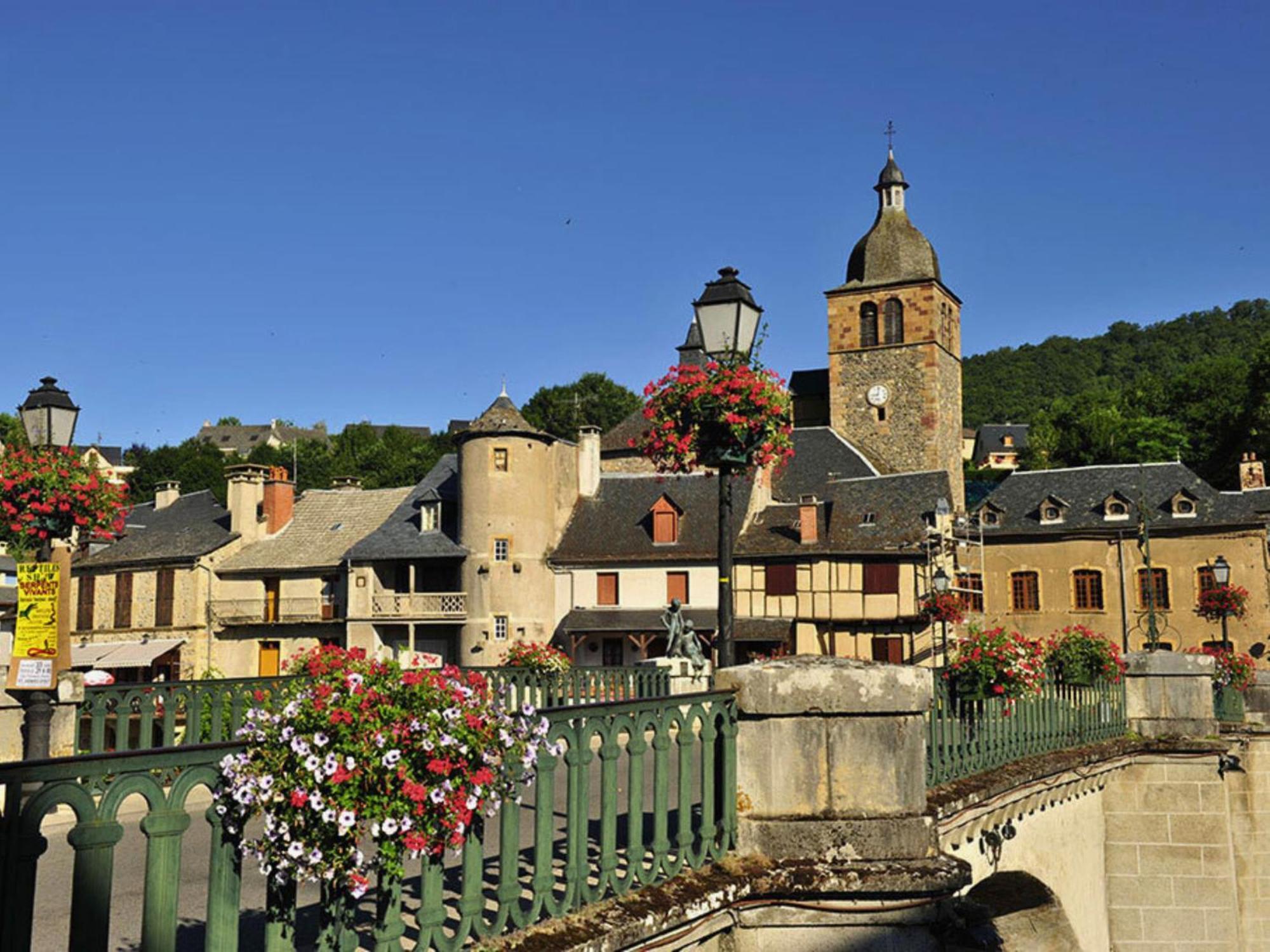 La Maison Bleue, Village Vacances, Piscine, Parking Saint-Geniez-dʼOlt エクステリア 写真