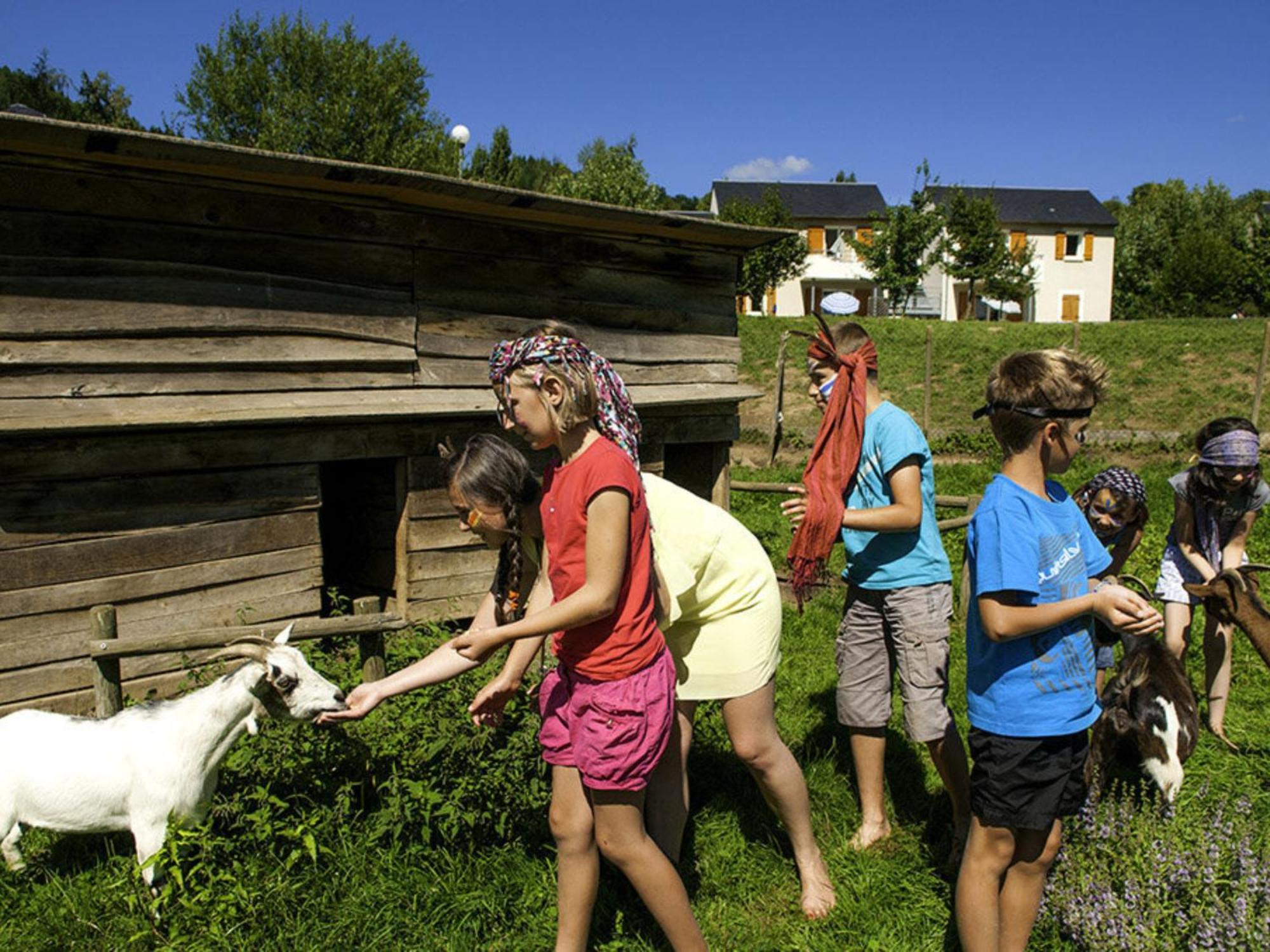 La Maison Bleue, Village Vacances, Piscine, Parking Saint-Geniez-dʼOlt エクステリア 写真