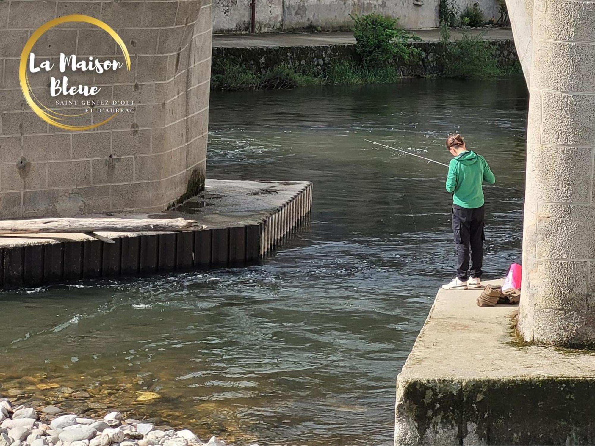 La Maison Bleue, Village Vacances, Piscine, Parking Saint-Geniez-dʼOlt エクステリア 写真